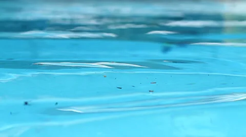 Pool Water in Motion Stock Footage 42012536