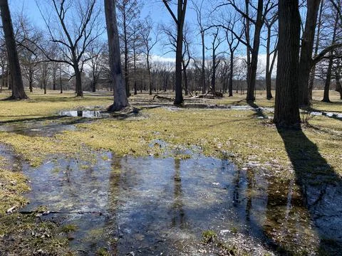 Pool of Water in the Park Stock Photos