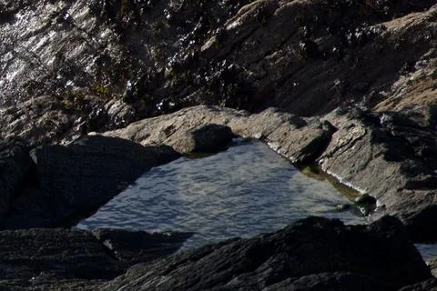 Pool Of Water In A Rockpool Stock Photos