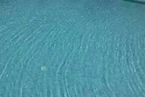 Pool Water Slow Motion 5 Stock Footage 96349373