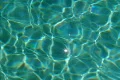 Pool Water Surface HS 13 Loop Slow Motion x7 Footage