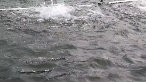 Pool water waves 01 Stock Footage 276693805