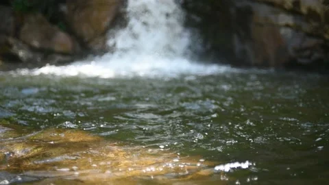 The pool of a waterfall in summer 스톡 동영상 219383341