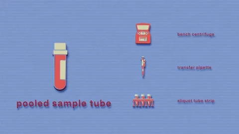 Pooled Sample Properties and Aliquot Preparation at a Glance Stock Footage 345500283