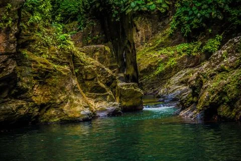 Pools hidden deep inside the forest Stock Photos
