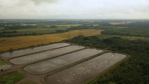 Pools of water from refinery from drone Video stock 161487117