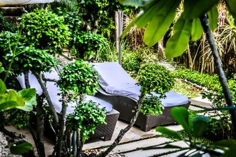 Poolside and beach side lounge chairs ad lounge beds with sun umbrellas in a  Stock Photos