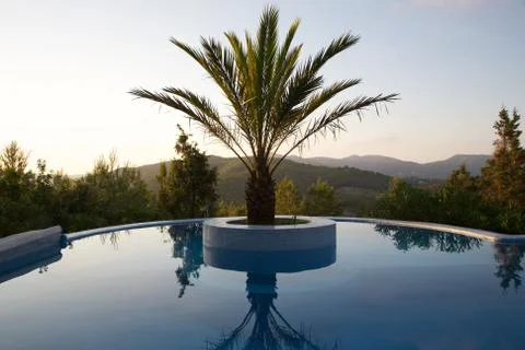 Poolside Stock Photos
