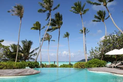 Poolside tropical ocean view. Stock-Fotos