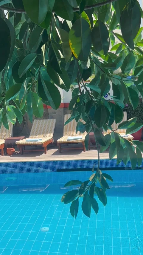 Poolside view with lounge chairs and blue pool water. Stock Footage 336904627