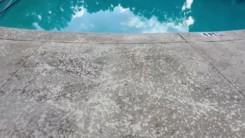 Poolside view of pool with trees and bushes Stock Footage 240881304