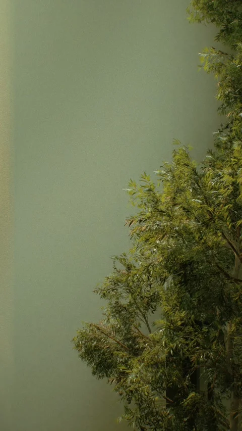 Poolvilla 6 Stock Footage 317537890