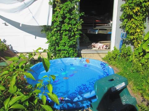 PoolYard Stock Photos
