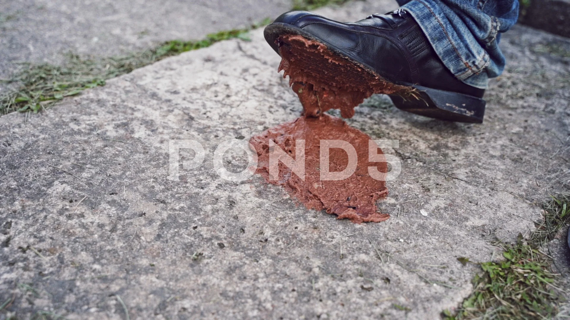 How To Cleen Dog Poop Of Shoes