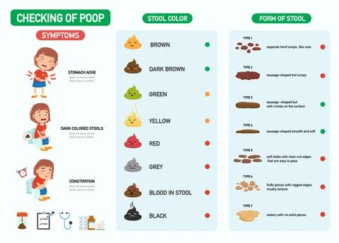 Poop infographic of stool forms and color with children girl characters repre Stock Illustration