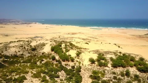 Poor bushes on empty sandy coast by ocean under blue sky Stock Footage 100342678