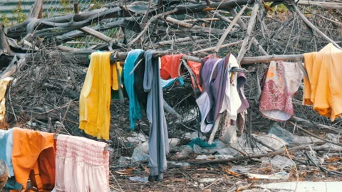 The poor dry things on the branches on trees. Poor homeless people dry their Video stock 86150297
