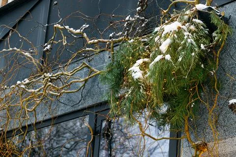 Poor external wall winter holidays city street facade poor elements evergreen Stock Photos