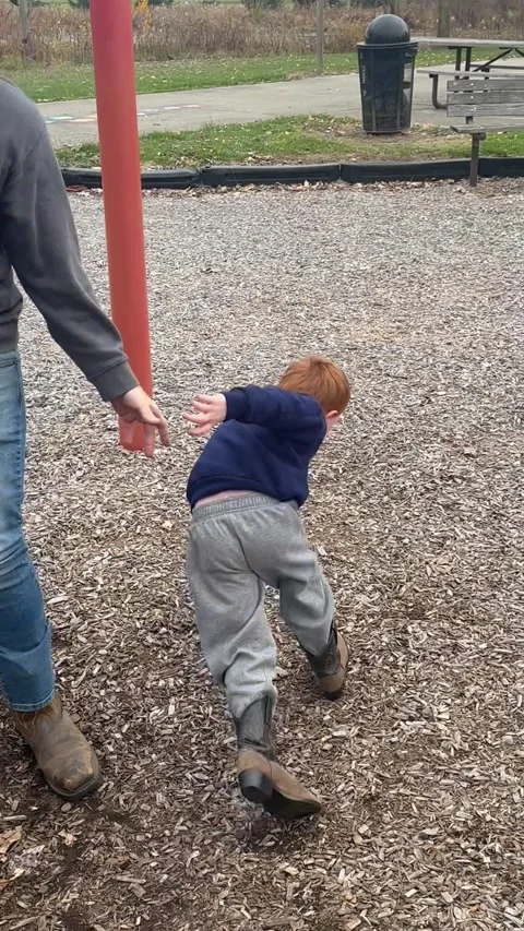 Poor Fella Got a Bit Dizzy, Hebron, Ohio, USA - 11 Nov 2023 Stock Footage 329513346