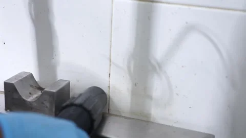 Poor hygiene and pest problem in a neglected commercial kitchen Stock Footage 329171325