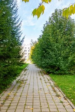 Poor initial planning and prolonged neglect cause vegetation to block pedestrian Stock Photos