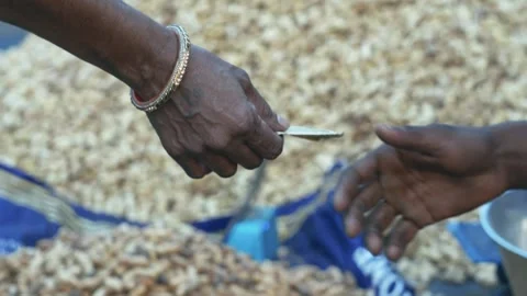 Poor man holding Indian currency in rough hands Stock Footage 319074291