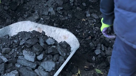 A poor man loads natural coal in a truck with a shovel Video stock 81798577