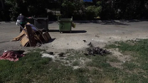 Poor man searches trash bin Stock Footage 79973481