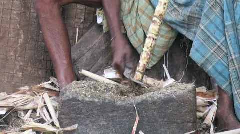 Poor old man cleaning sugar cane Stock Footage 68993684