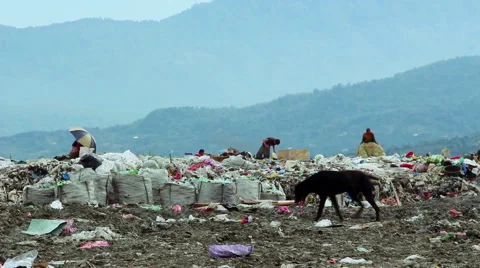 Poor people in Garbage dumping ground in Batumi, Georgia. Pollution concept Stock-Footage 50637676