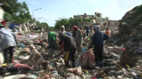 Poor people picking through garbage at big dump Stock Footage 48334400