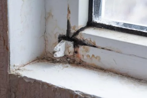 Poor quality windows. Due to poor ventilation, poor-quality installation of.. Stock Photos
