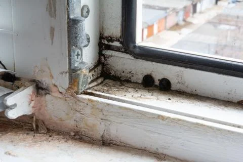 Poor quality windows. Due to poor ventilation, poor-quality installation of.. Stock Photos