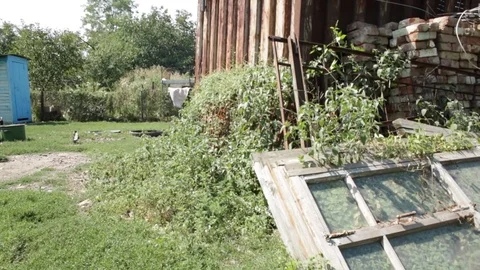 Poor rural courtyard Stock Footage 79754806