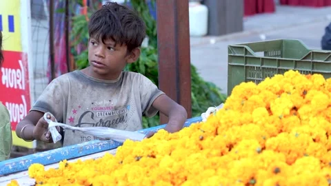Poor Smart Boy playing with Polythene on the Roadside - Marigold Flowers Stock Footage 220074361