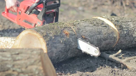 Poor working chainsaw Stock Footage 26638040