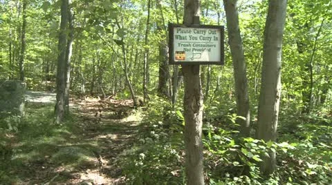 Pootatuck Forest (2 of 4) Stock Footage 16272310
