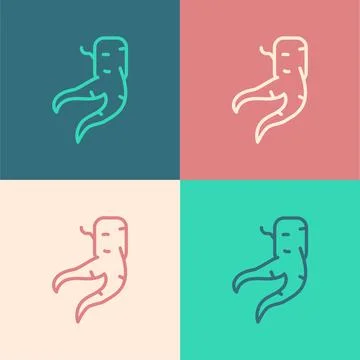 Pop art line Ginger root icon isolated on color background. Vector Stock Illustration