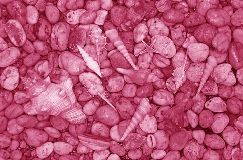 Pop Art Style of Gradient Bright Maroon Pebble Stones with Tiny Seashells Stock Photos