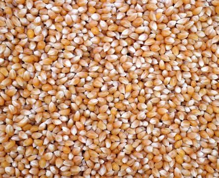 Pop corn Stock Photos