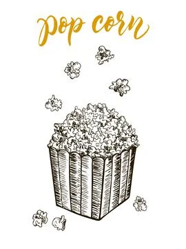 Pop corn sketch vector illustration. Fast food delicious corn icon for Stock Illustration