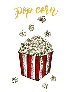Pop corn sketch vector illustration. Fast food delicious corn icon for Illustration