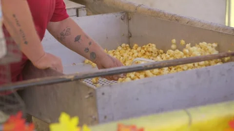 Pop corn vendor scooping pop corn Stock Footage 253951471