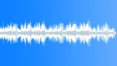 Pop Goes The Weasel Stock Music