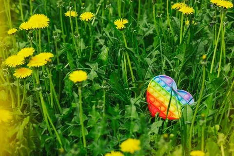 Pop it in the shape of a heart of rainbow colors lies on the grass. Foto stock