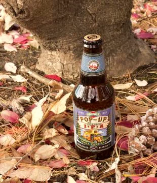 POP-UP pale ale 스톡 사진