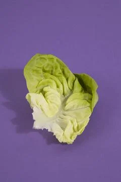 Pop salad Stock Photos