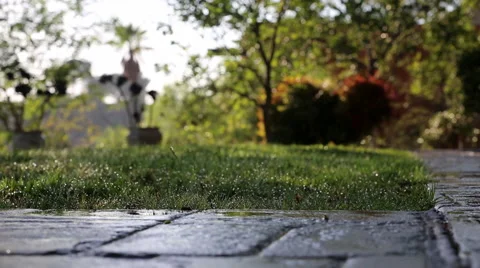 POP-UP SPRINKLERS WATERING GRASS LAWN Stock Footage