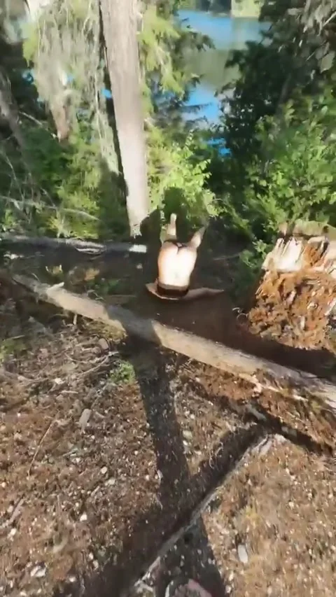 Pop a Squat Gone Wrong, Shuswap Lake, British Columbia, Canada - 28 Jul 2026 Video stock 342657543