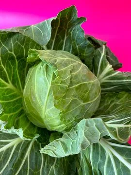 Popart cabbage Foto stock